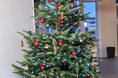 Weihnachtsbaum